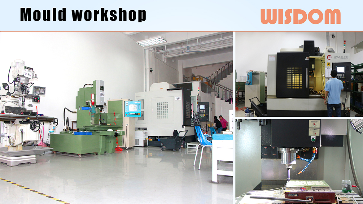 WISDOM mould workshop