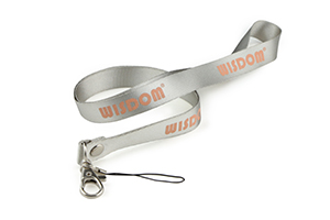 Lanyard